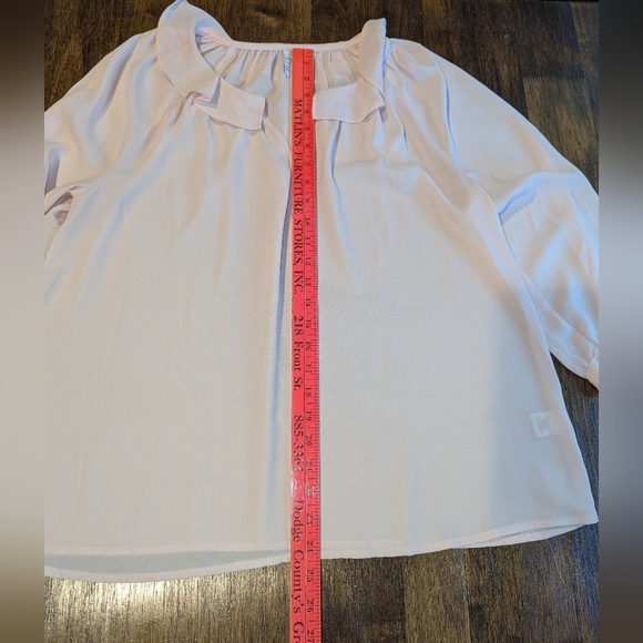 Elle Blush Ruffle Blouse - Picture 6 of 7
